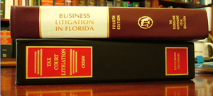 litigationsupport